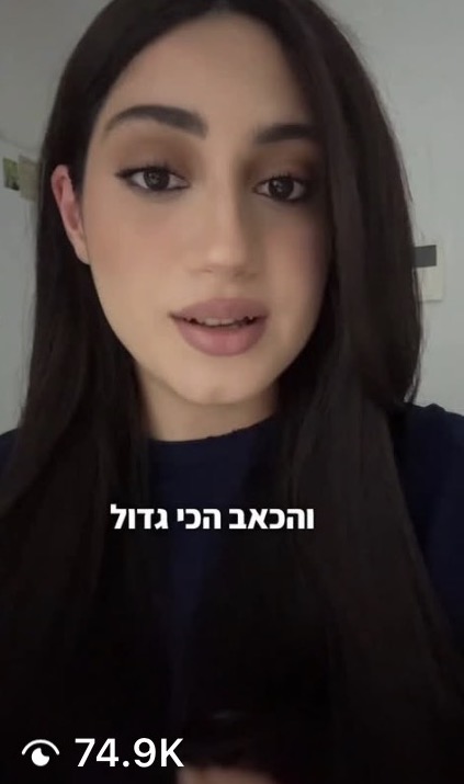 צילום מסך של סרטון של הדס
